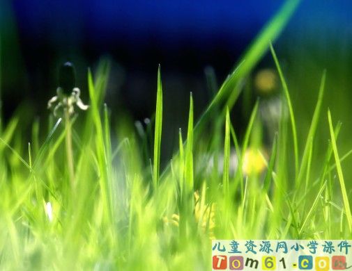 宿新市徐公店课件6