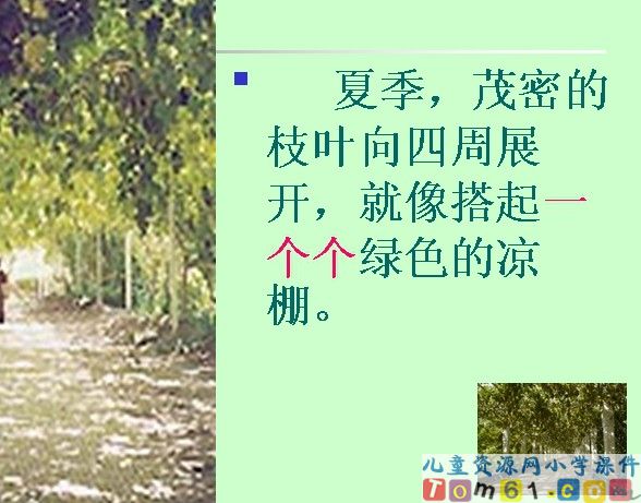 葡萄沟课件25