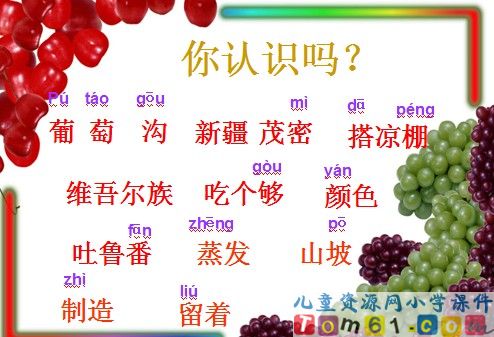 葡萄沟课件32