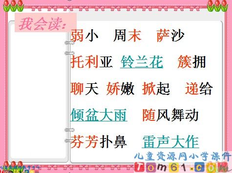 我不是最弱小的课件10
