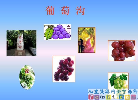 葡萄沟课件15