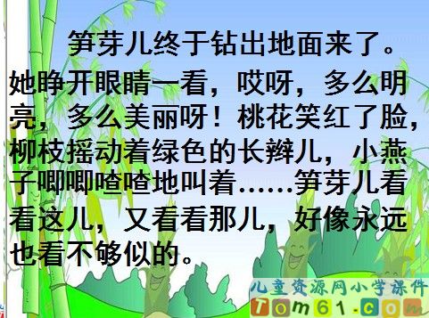 笋芽儿课件6