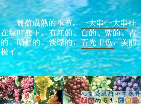葡萄沟课件10