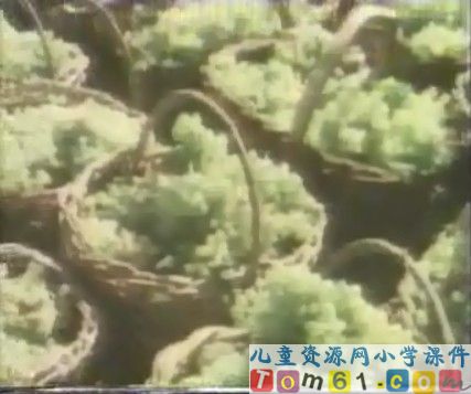 葡萄沟课件23