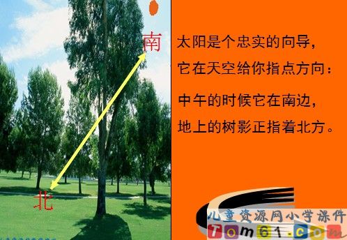 要是你在野外迷了路课件17