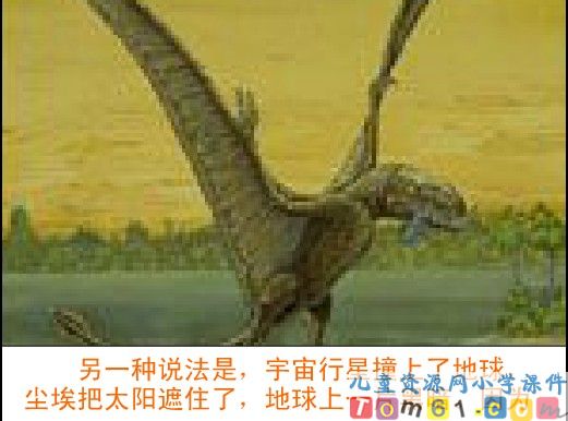 恐龙的灭绝课件6