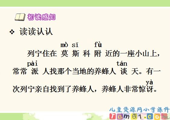 蜜蜂引路课件14