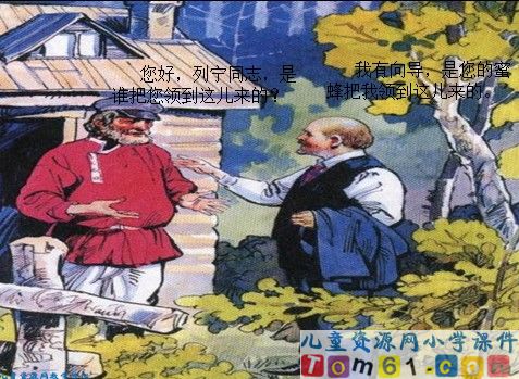 蜜蜂引路课件11