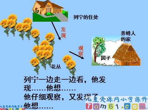 蜜蜂引路课件16