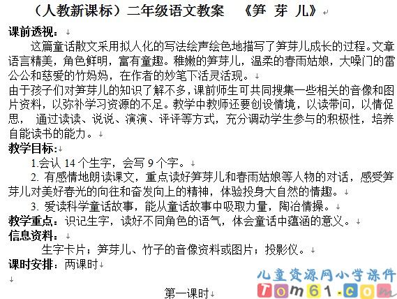 笋芽儿