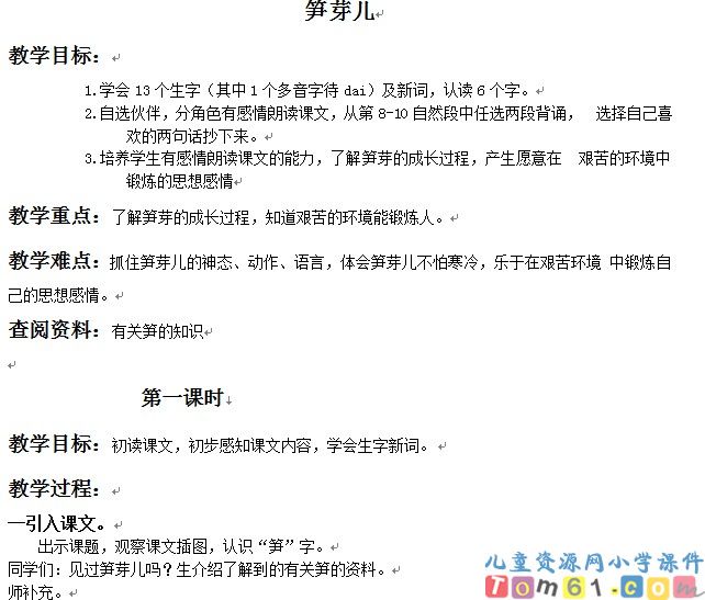 笋芽儿