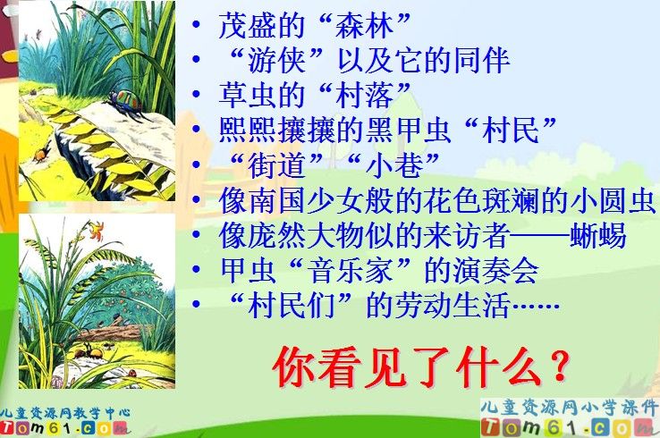 草虫的村落