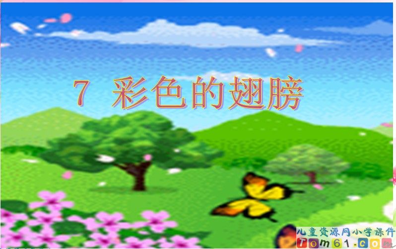 彩色的翅膀