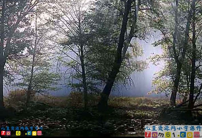 山中访友