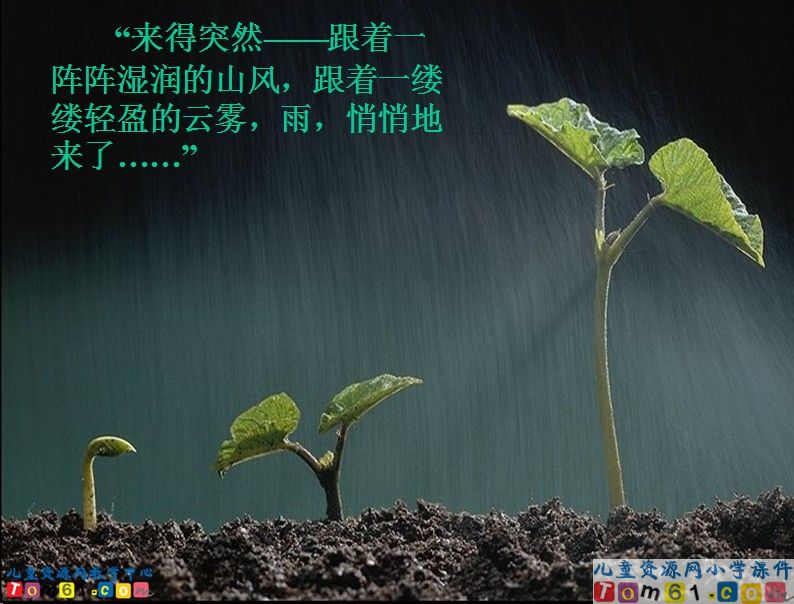 山雨