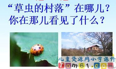 草虫的村落