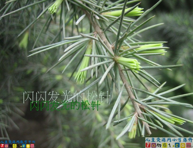 这片土地是神圣的