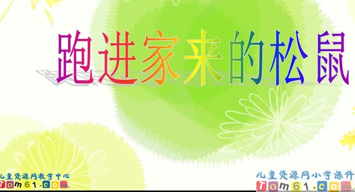 跑进家来的松鼠