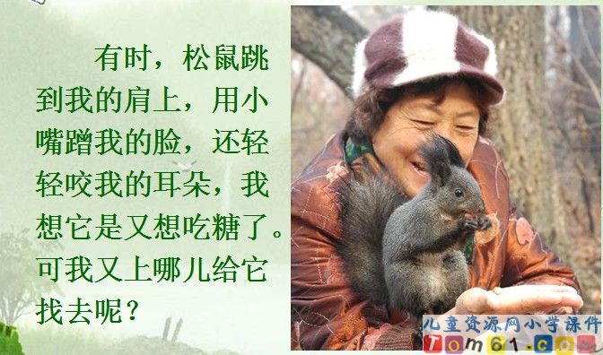 跑进家来的松鼠