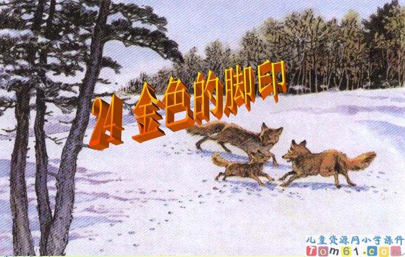 金色的脚印