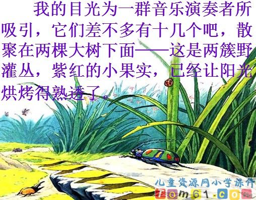 草虫的村落课件10