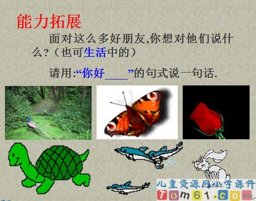 山中访友课件29