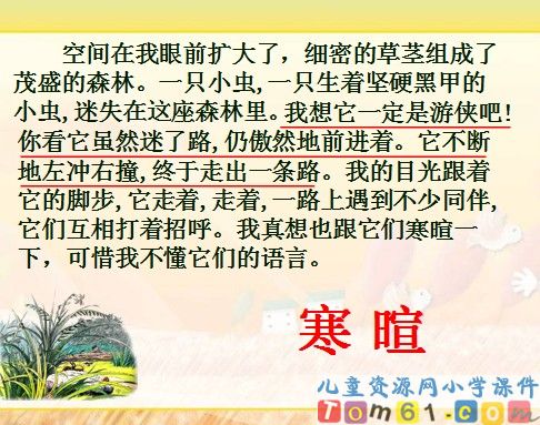 草虫的村落课件7