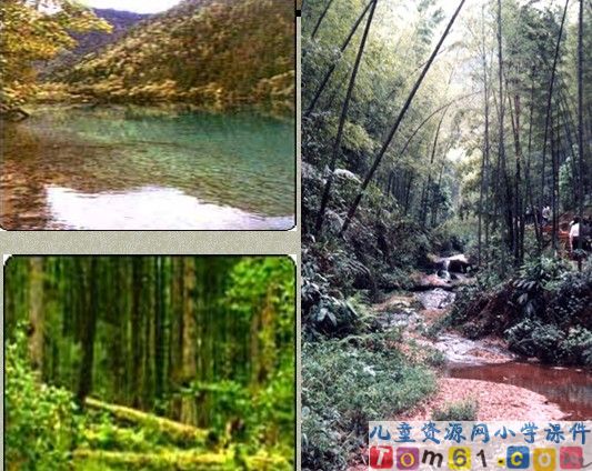 山中访友课件28