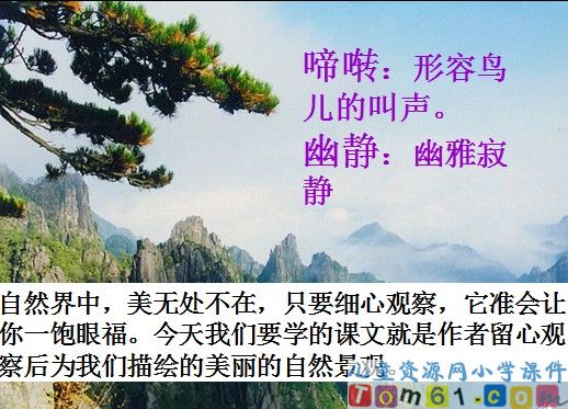 山雨课件13