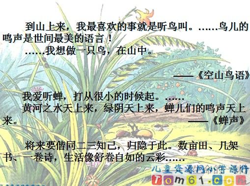 草虫的村落课件15