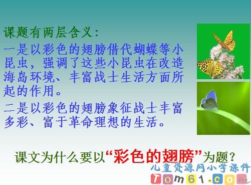 彩色的翅膀课件10