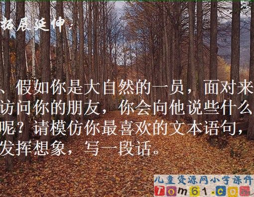 山中访友课件27