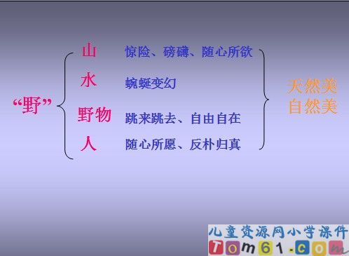 索溪峪的“野”课件12