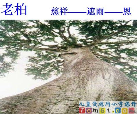 山中访友课件24