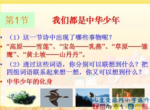 中华少年课件4