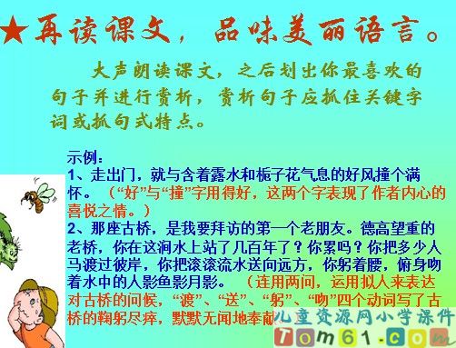 山中访友课件23