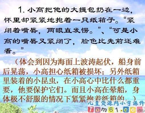 彩色的翅膀课件9