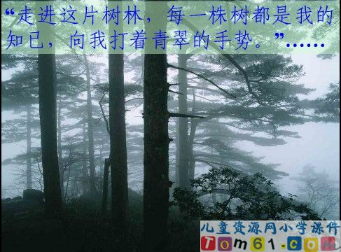 山中访友课件19