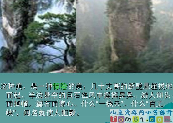 索溪峪的“野”课件17