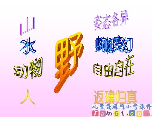 索溪峪的“野”课件26