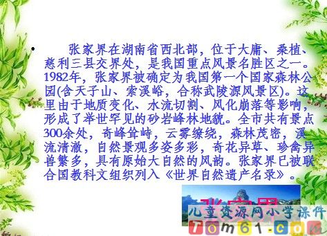 索溪峪的“野”课件11