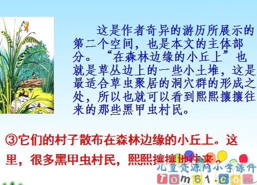 草虫的村落课件12