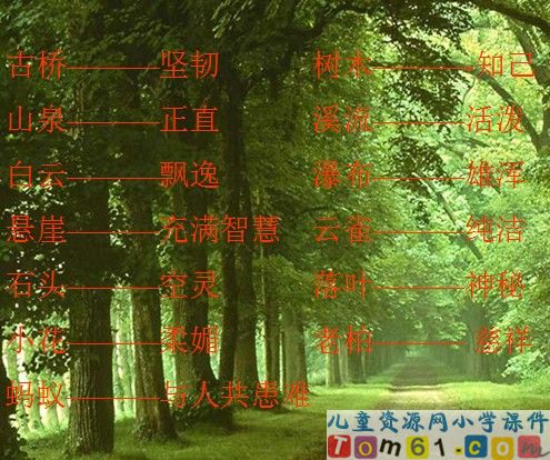 山中访友课件31