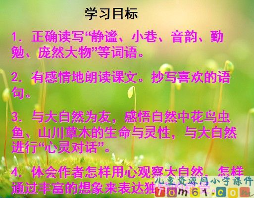 草虫的村落课件16