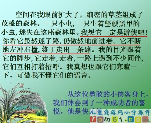 草虫的村落课件11