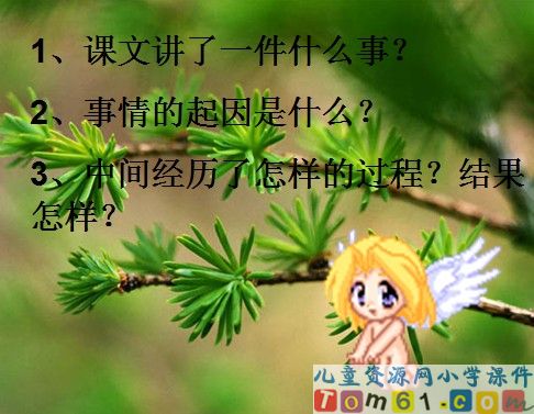金色的脚印课件18