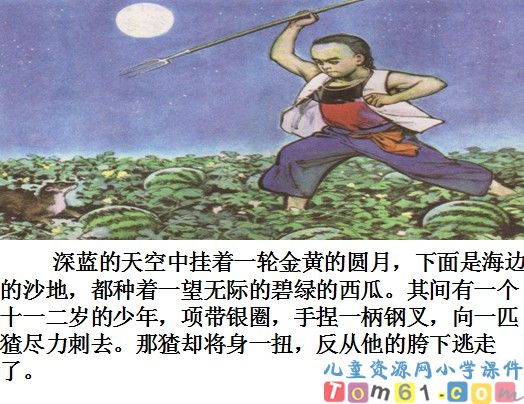 少年闰土课件14