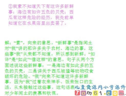 少年闰土课件16