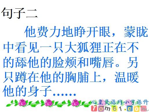 金色的脚印课件9