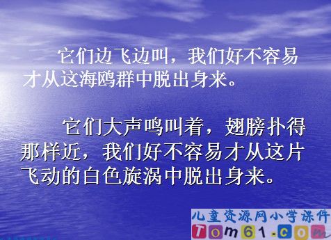老人与海鸥课件20